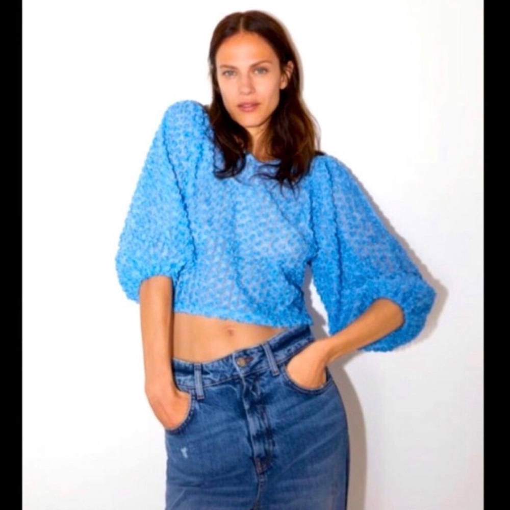 NWT✨ZARA Blue Semi Sheer Organza Rose Embroidered Blouse